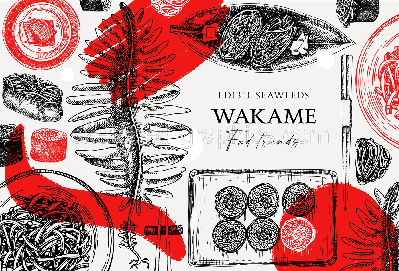 Edible seaweed frame design in collage style. Hand drawn wakame sketches. Sea vegetables vector illustration. Japanese cuisine dishes menu. Healthy food ingredients in engraved style Illustration